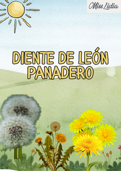 Proyecto Educativo: El Viaje del Panadero