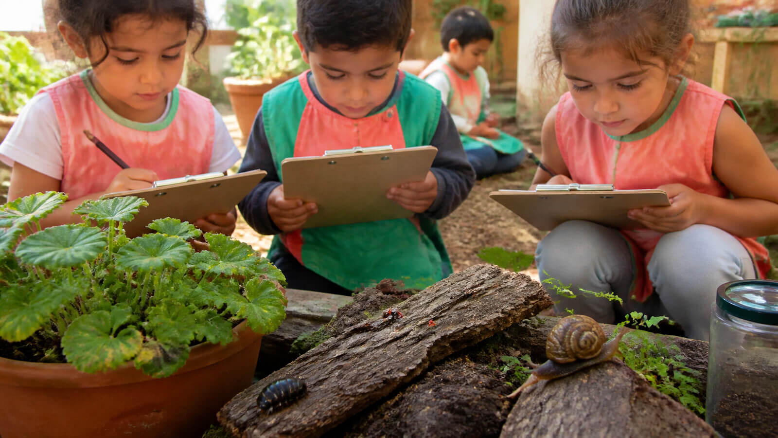 Niños registrando caracol y otros habitantes de un microhábitat