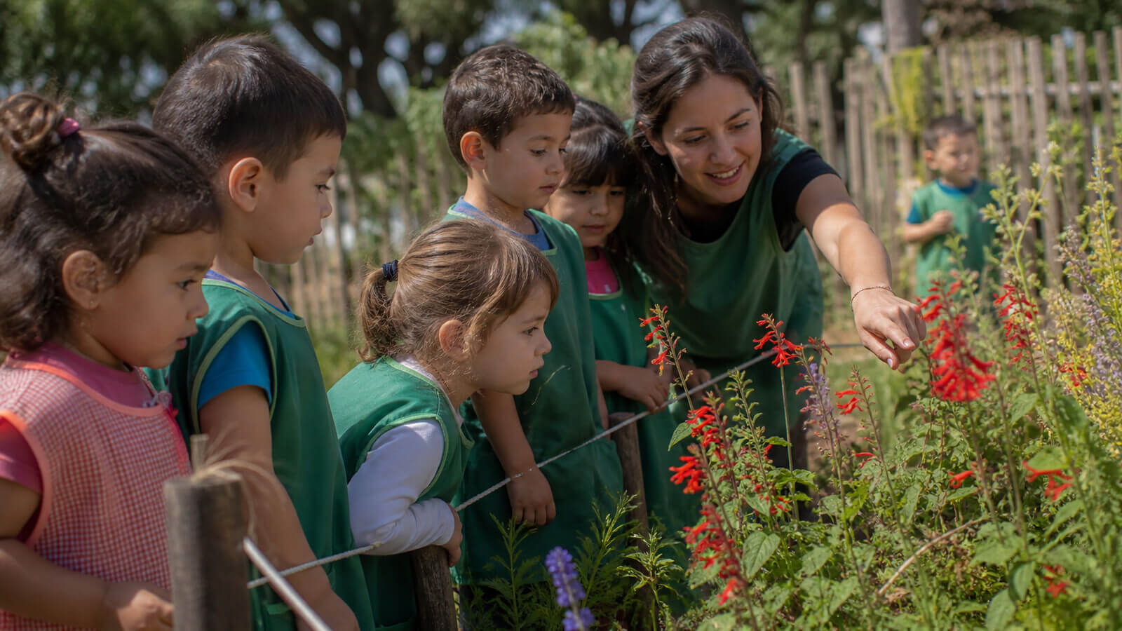 Grupo observando abejas en flores desde una distancia segura