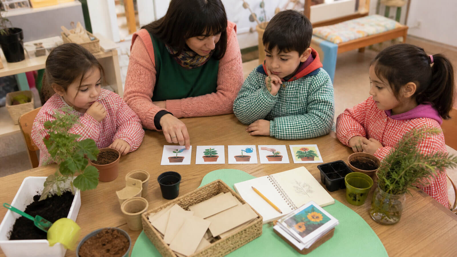 Planificación de siembra y cuidados para un jardín de mariposas