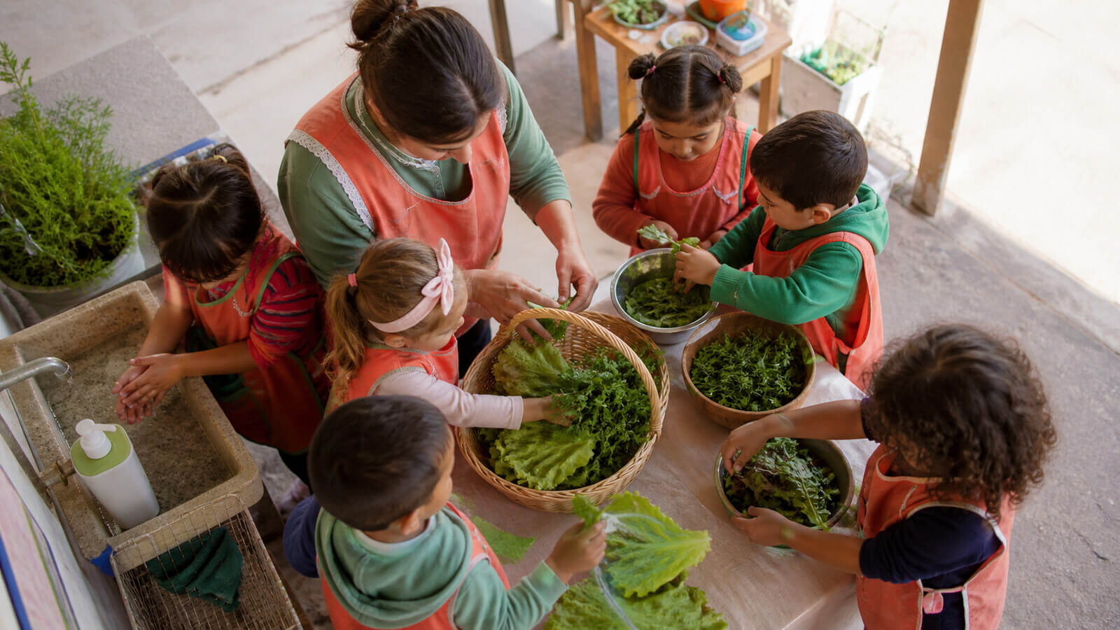 Cosecha y preparación segura de verduras y hierbas de la huerta