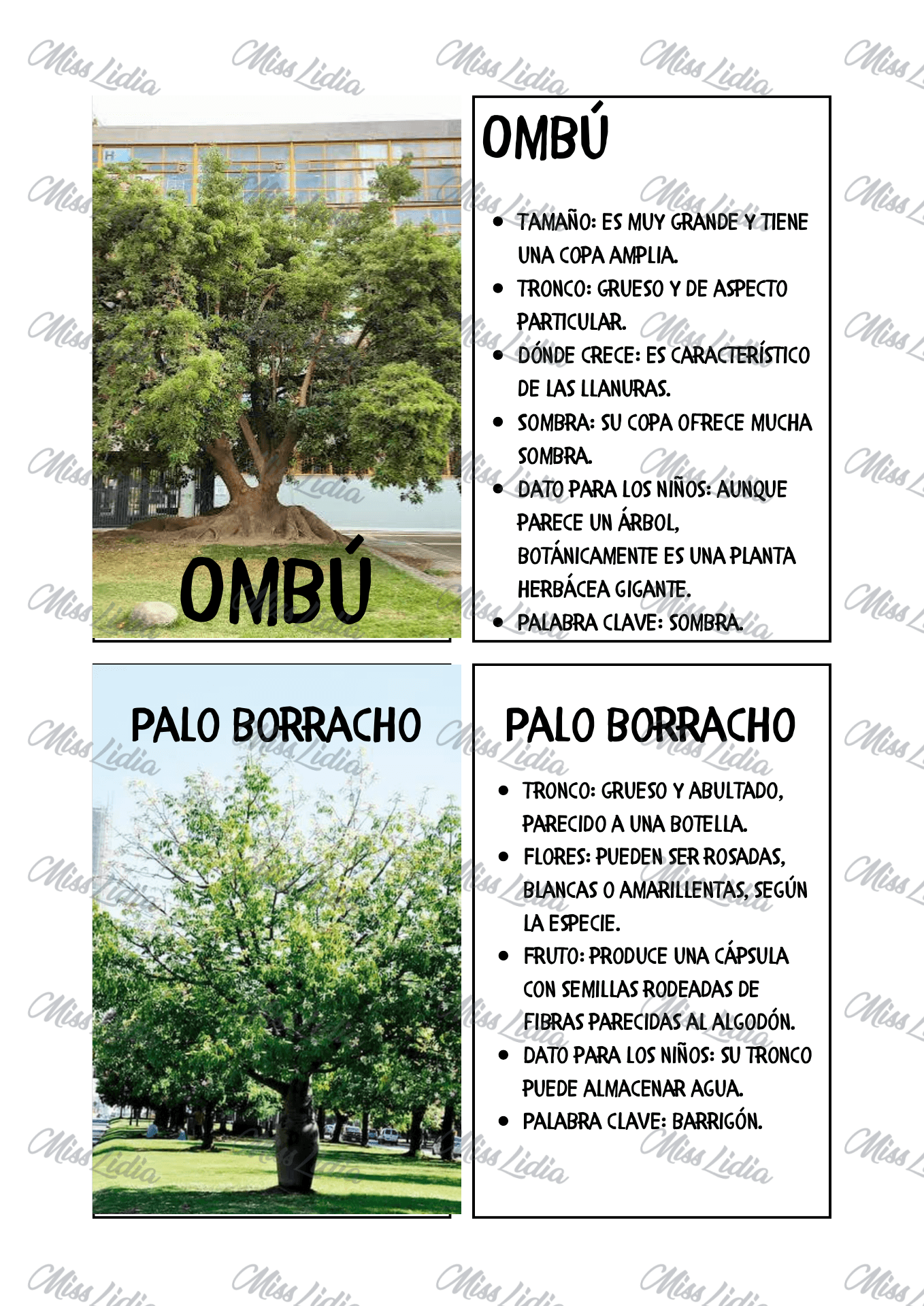 Galería 3 Proyecto: Árboles Autóctonos, Guardianes de Nuestro Ambiente