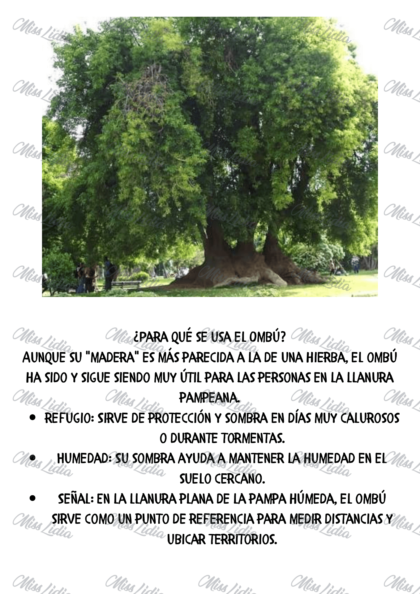 Galería 2 Árboles autóctonos
