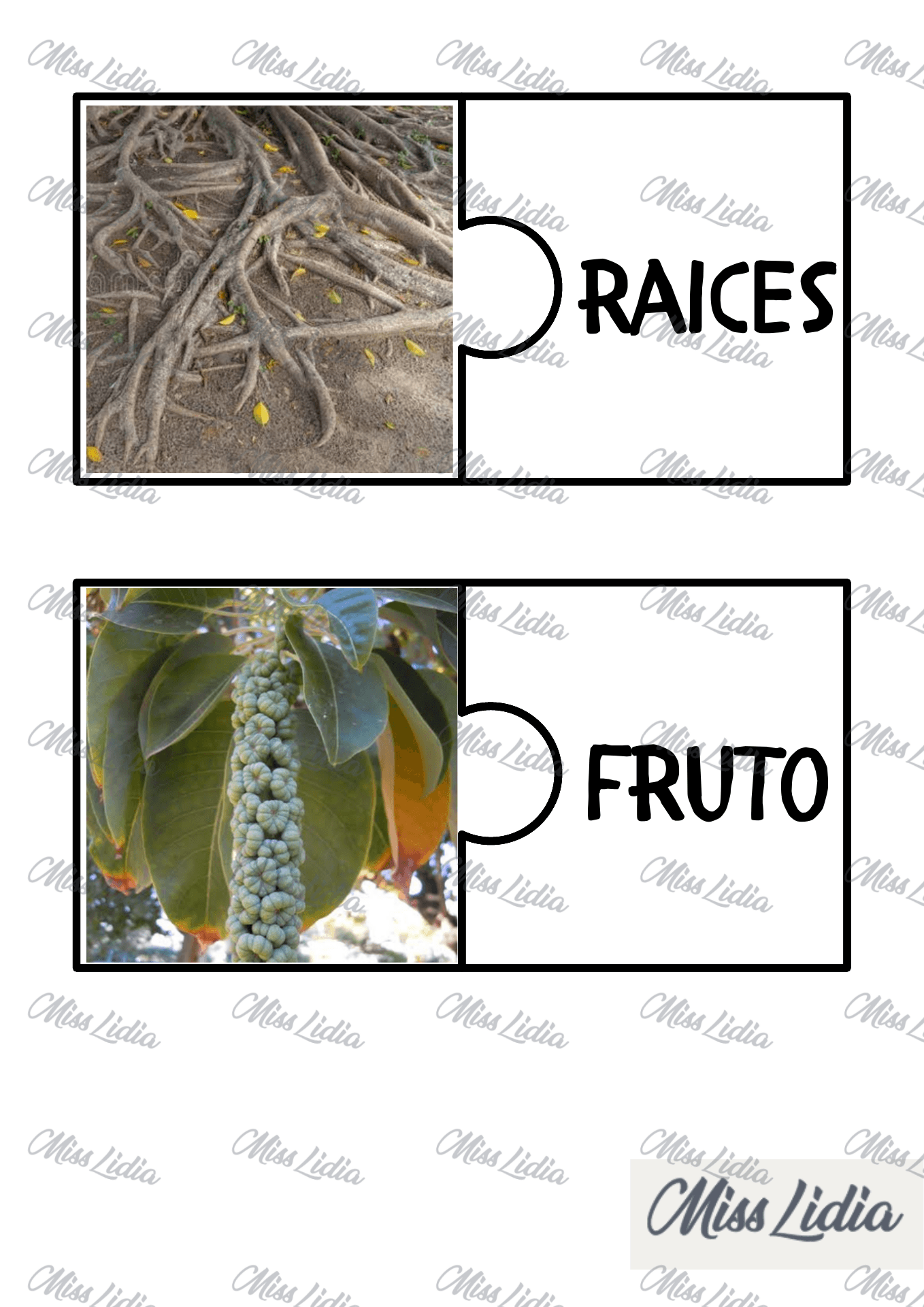 Galería 3 Árboles autóctonos