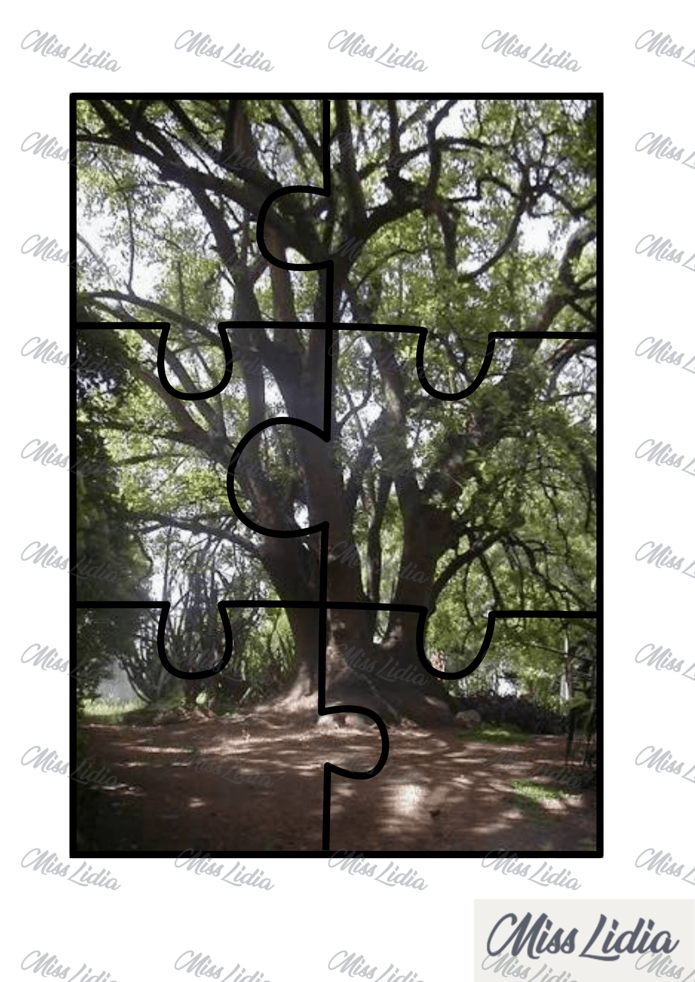 Galería 5 Proyecto: Árboles Autóctonos, Guardianes de Nuestro Ambiente