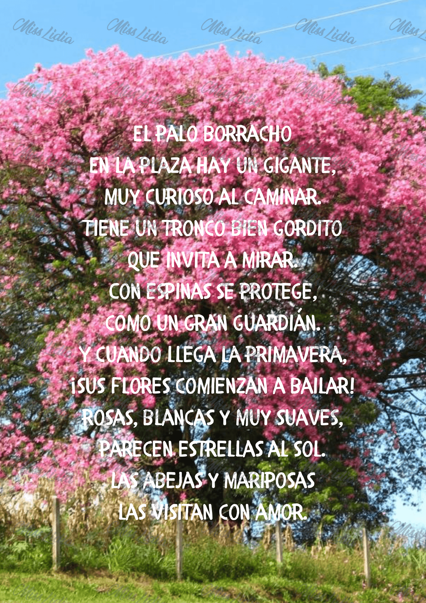 Galería 5 Árboles autóctonos